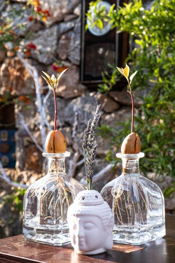 Casa Di Pietra Hotel Fethiye Kültér fotó